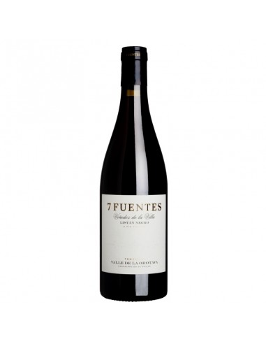 7 Fuentes Listán Negro 2021