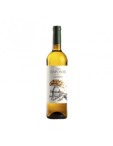 Silva Daponte Godello 2024