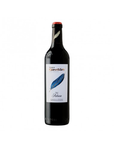 Cepa Gavilán Crianza 2022