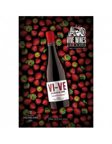 Vi-Ve La Llave de los Sueños 2025