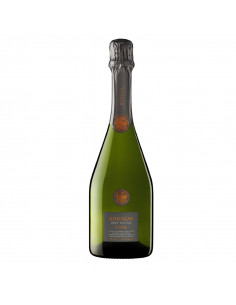 Cava Bohigas Brut Nature Gran Reserva